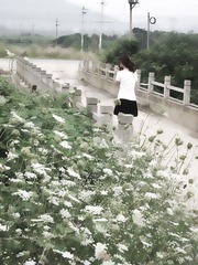 2012_07080159_副本.jpg