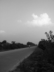 2012_07080033_副本.jpg