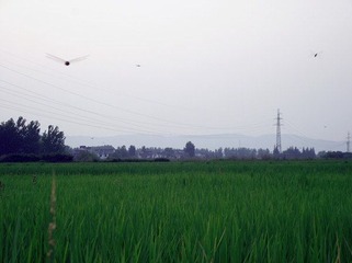 2012_07080037_副本.jpg