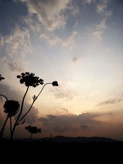 2012_07080020_副本.jpg