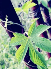 psb_副本.jpg