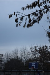 1000119971