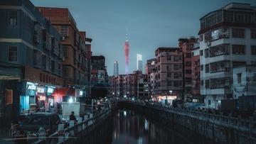 273039