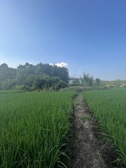 9D964378-D632-49A9-AC28-9CC1999B1202/L0/001