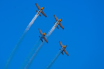 07AF6495-7B08-485D-AD13-1713176F10D4/L0/001