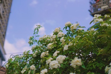 643D198D-1DDC-47AA-A262-350DB5A799D6/L0/001