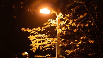 435BD129-29B1-4DC5-9761-41445E2C47FA/L0/001