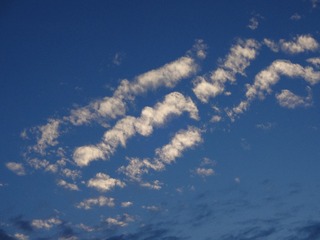 889F6DA6-429B-4D74-8C09-2CEBC80588AD/L0/001