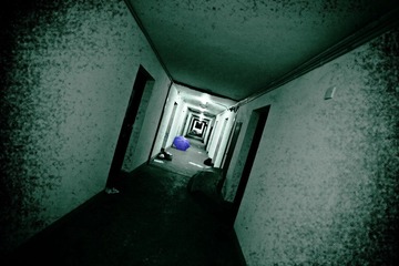 青苔