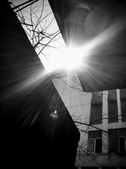 C360_2012-03-31-14-49-04.jpg