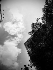 C360_2012-05-07-14-12-54.jpg