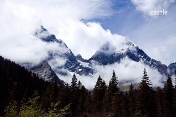 IMG_5216.jpg