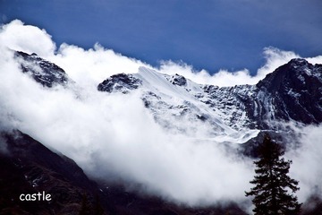 IMG_5233.jpg