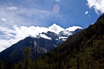 IMG_5252.jpg