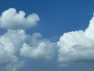 10DD3AF5-C468-4E2C-A7EF-EB115A45D675/L0/001
