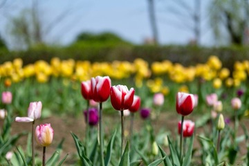2D967368-F2B3-401B-8118-18BA078A2944/L0/001