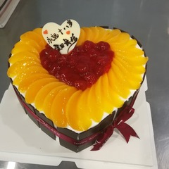 55658