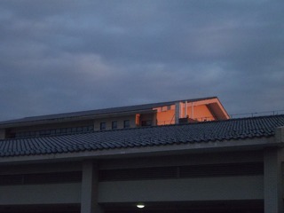 1257688