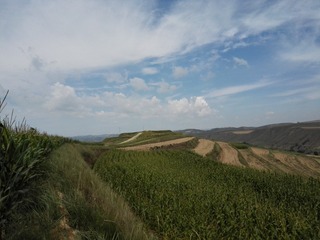 700DBDD4-6607-4F41-B08E-D8E871624E9E/L0/001
