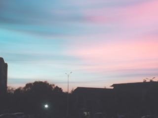 44453