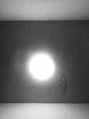 737161277158271635