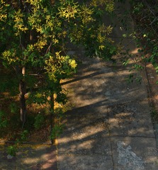 286027