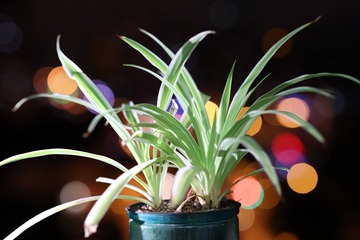 554AB456-0AED-4647-8EF2-110F07DF6E51/L0/001