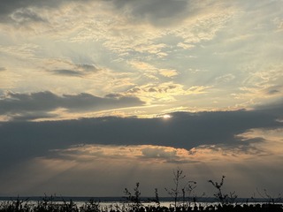 C40351E4-75D2-4D77-AE16-AD3178416305/L0/001
