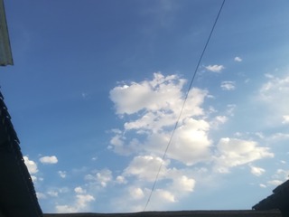245991