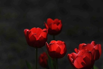 传DSC_1948.jpg