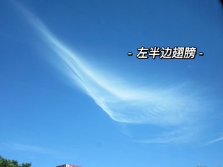 2C48D8E9-EF46-47DB-9B1A-05EF29913DB9/L0/001