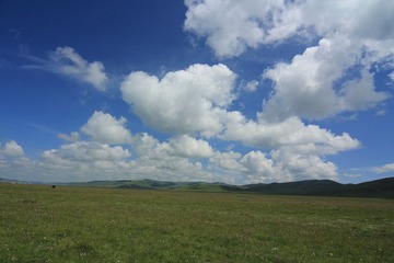 IMG_2169.JPG