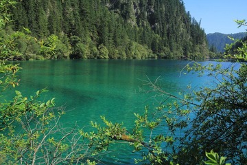 IMG_2383.JPG