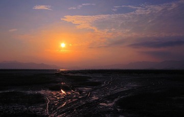 IMG_0208.jpg