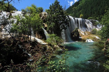 IMG_2502.JPG