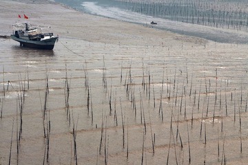 IMG_3799.JPG