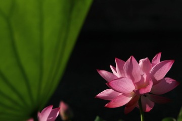 IMG_5015.JPG