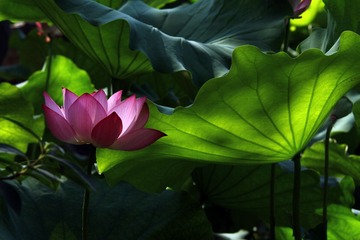 IMG_5023.JPG