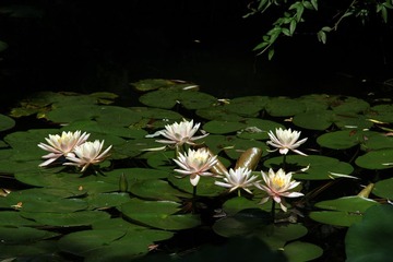 IMG_5057.JPG