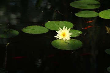 IMG_5103.JPG