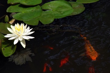 IMG_5163.JPG