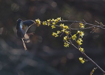 “““IMG_7676”为智能对象-1”为智能对象-1”为智能对象-1