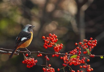““IMG_8418”为智能对象-1”为智能对象-1