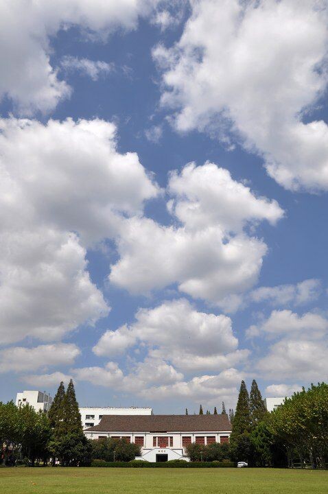 DSC_0452<br />
