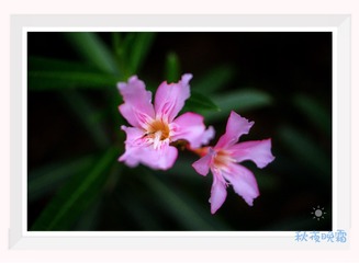 25A2F722-5BED-4CE5-B1A2-C30DC6C5598A/L0/001