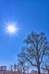 554886