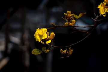441D2AA6-C149-47FC-9226-C4D380890766/L0/001