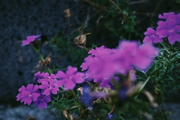 7D15B020-ACDB-4B87-A394-69B2D2AC35B4/L0/001
