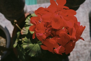 1EBECC7D-D0BD-4246-9846-CBF0C8343012/L0/001