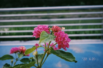2A05AD61-F4E8-4B2C-A800-FAE0481F5328/L0/001